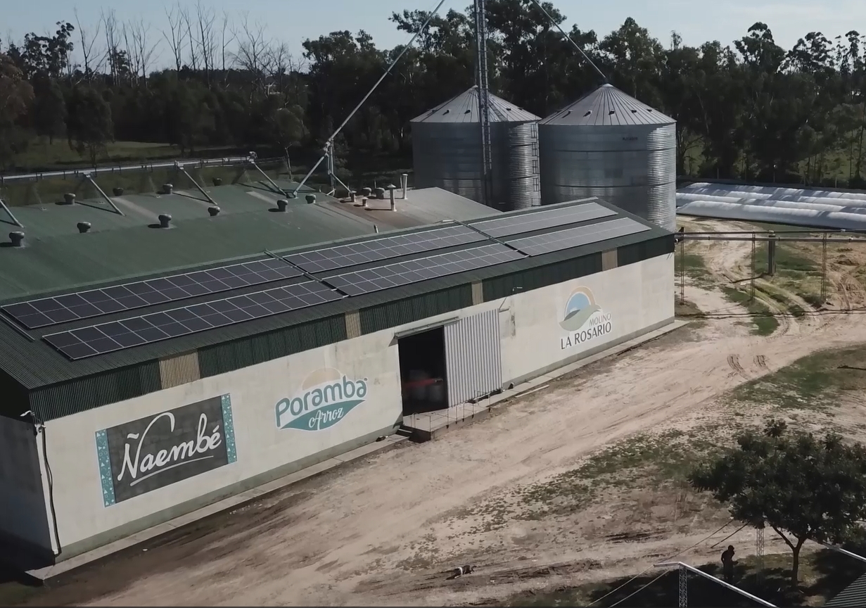 Un molino correntino funciona con luz solar: "Ahorramos 40% de energía"