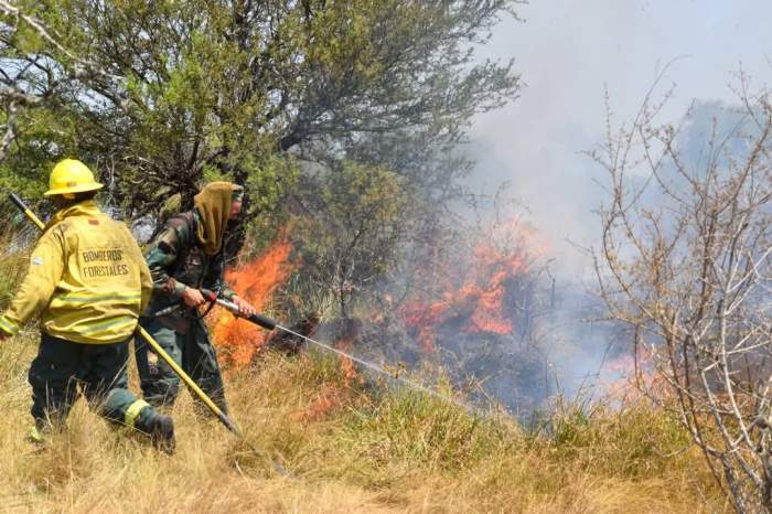 Incendios en Curuzú y Perugorría: hay cuatro personas implicadas