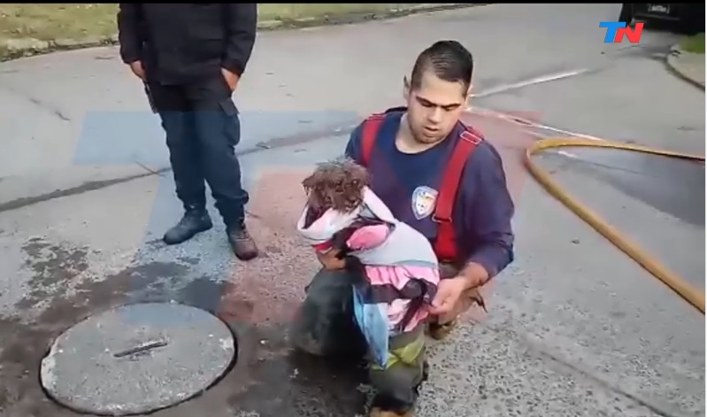 José León Suárez: bomberos rescataron a una perra atrapada en una alcantarilla