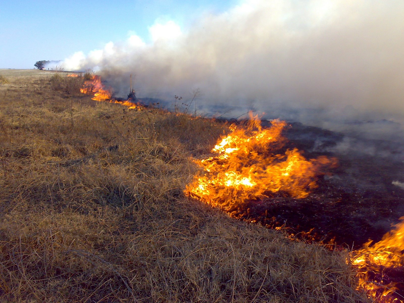 Incendios: bomberos trabajan en Pueblo Libertador y Goya