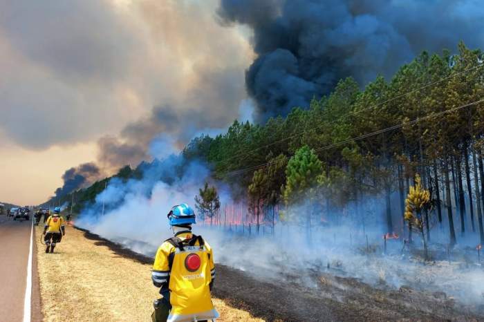 Corrientes: cómo denunciar la quema de pastizales en la región